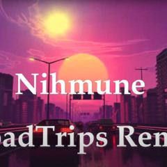 Nihmune - Roadtrips (Raizer_VT Remix)