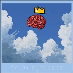 Brain Synapses