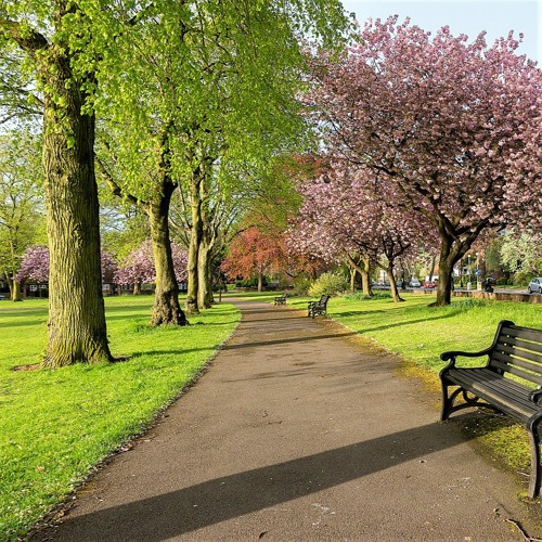 A day in the park, with you.