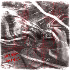 don't trust anyone w/ GODENEMIE (prod. velvett)