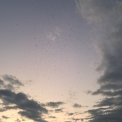 flying-DJ RICK.wav