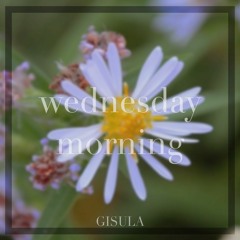 Wednesday Morning