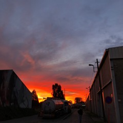 Egyptian 10torsion (live impro)