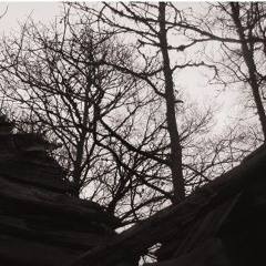 Hypothermia -Kaffe & Blod II