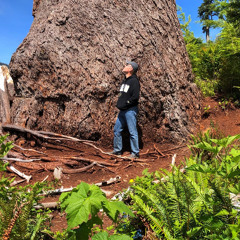 For The Trees - Natl Sawdust - Nytch