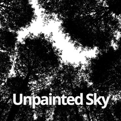 Unpainted Sky
