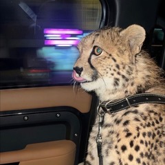 bawaad3k يالضناااا