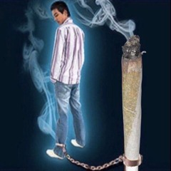 moy meer (freestyle)