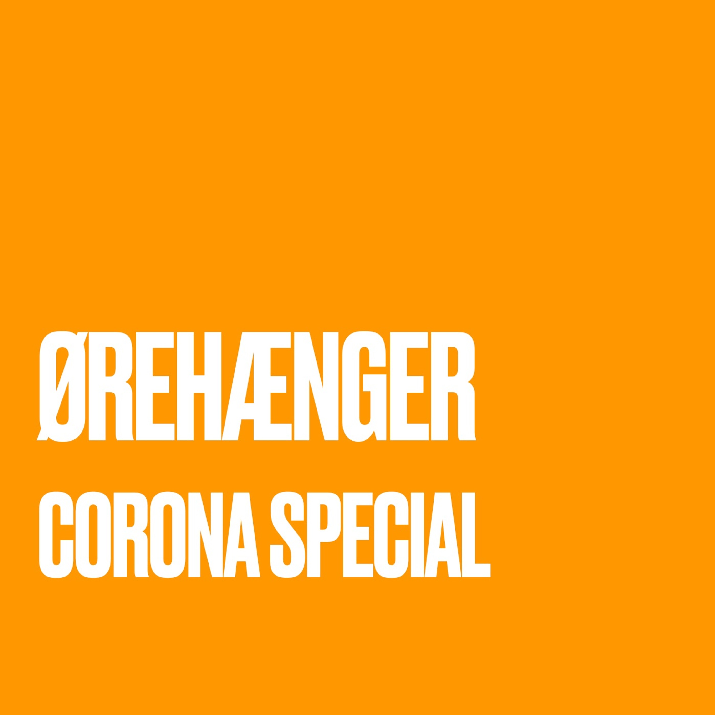 Ørehænger