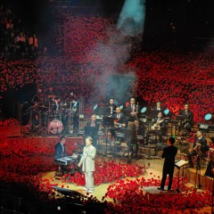 Sketch A Rose - Sydney 29.09