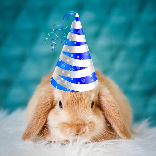 The Sofs -  Birthday Mix 2022 (Original Mix)