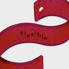 Flexible Ruler (Willy Wanna)