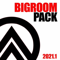 Big Room Pack 2021 - 1