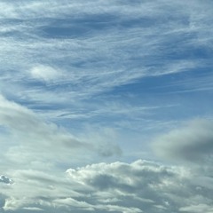 Open Air w_D.(11.21)