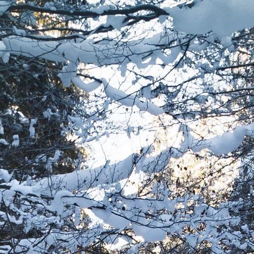 Stream zyn | Listen to - playlist online for free on SoundCloud