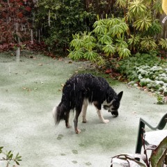 Going Round In Circles