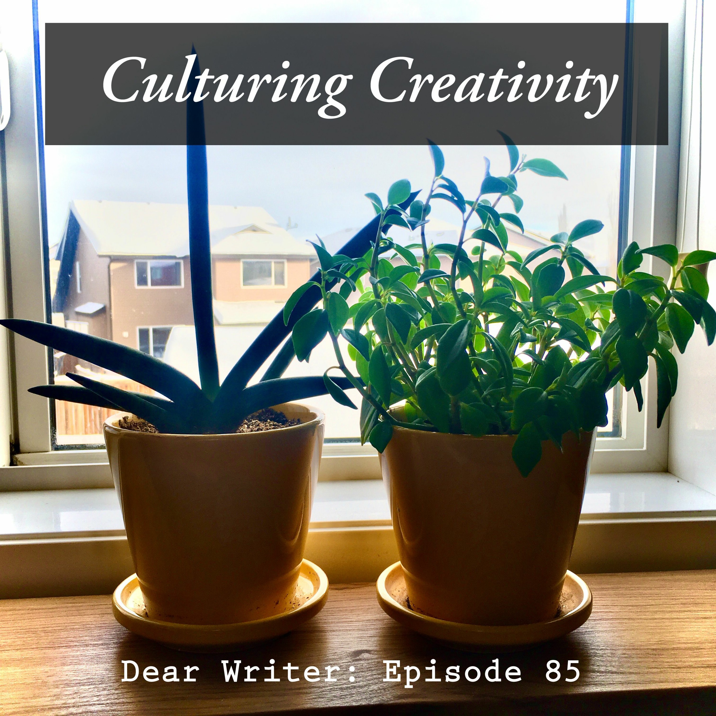 Dear Writer