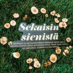SEKAISIN SIENISTÄ PART 1