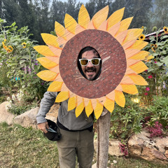 Sunny Acres Live DJ Set Saturday Night Shambhala 2024