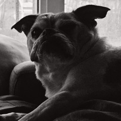 朝の床 (asa no yuka)