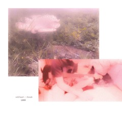 Wild Heart (feat. Save Thirteen)