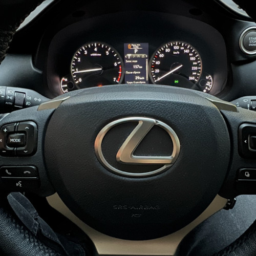 Мияги — Силуэт