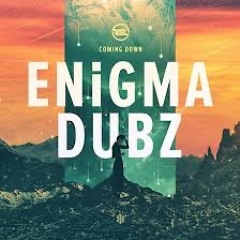 enigma dubz best of .