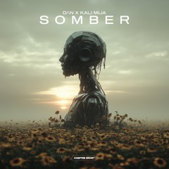 Somber