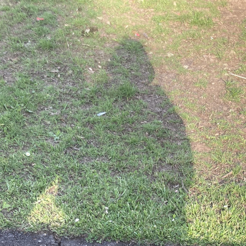 Tragic thoughts -Dracco X esejj