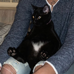 Certified Pu$$y Lover