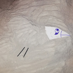 siluety ptaku (demo 7.4.24)