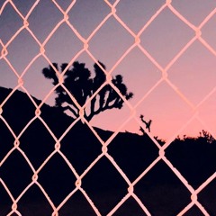 Venus Mix
