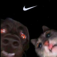 CUNHA - 7 DIAS DA SEMANA 7️⃣7️⃣7️⃣