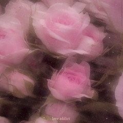 LOVE ADDICT.