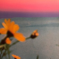 blessed are the flowerboys.