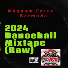Magnum Force Dancehall Mixtape 2024 Raw