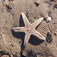 |||||||||||||||||||| (barcode) - almost there (tc remix)