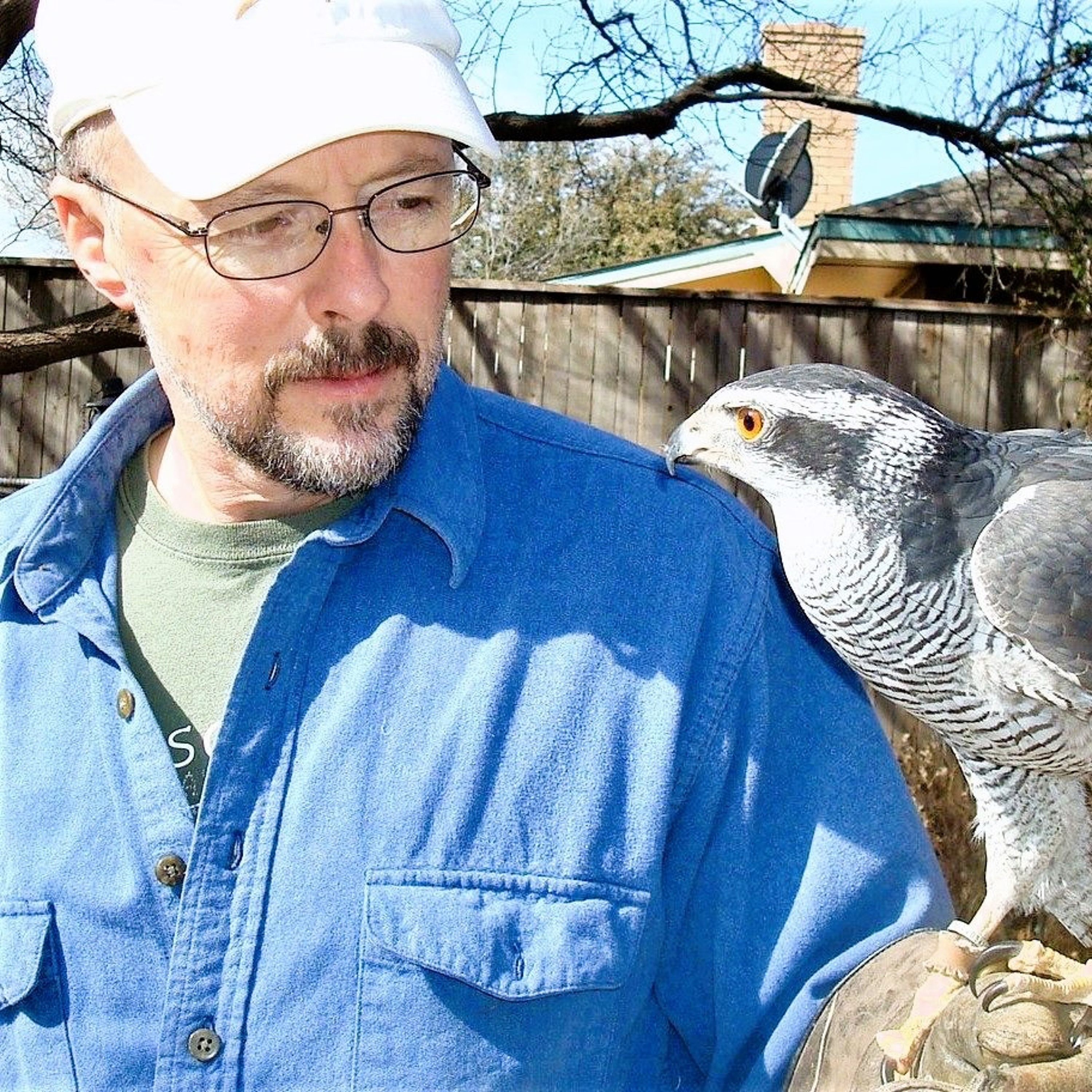 Dr. Dale on Quail