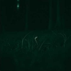 Snakes in the Grass