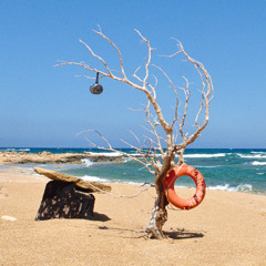 … am Strand