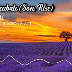 Incubate (Son, Rise)