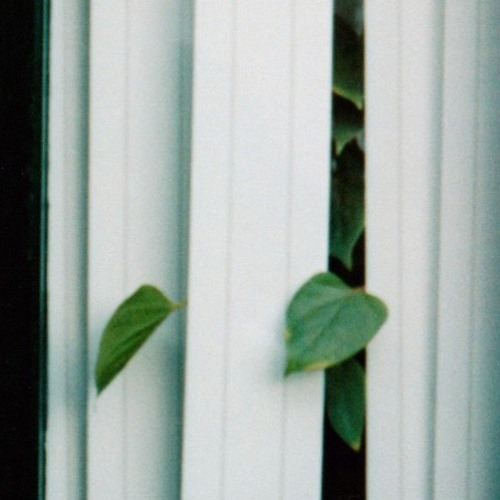 two sides