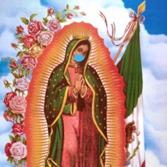 ******damsonwhereufindthissss******