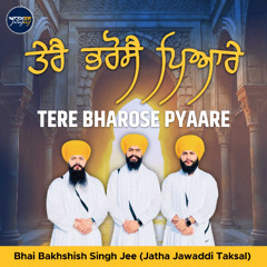 Tere Bharose Pyaare (Bhai Bakhshish Singh Jee)