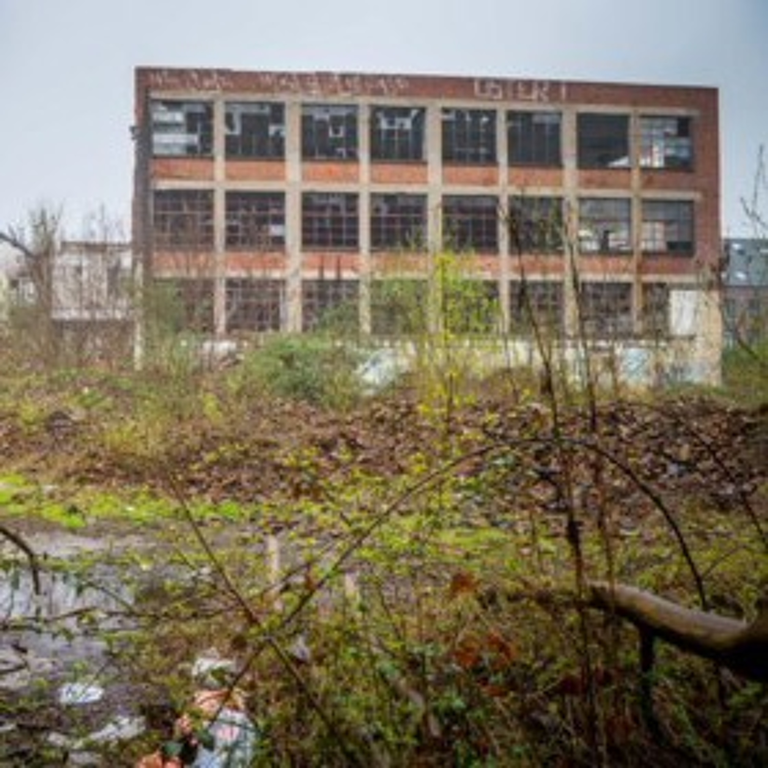 immobilier-company
