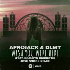 AfroJack - Wish You Were Here (feat. Brandyn Burnette) (Josh Snook Remix)