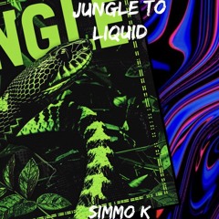 Jungle to liquid 10 minute mix