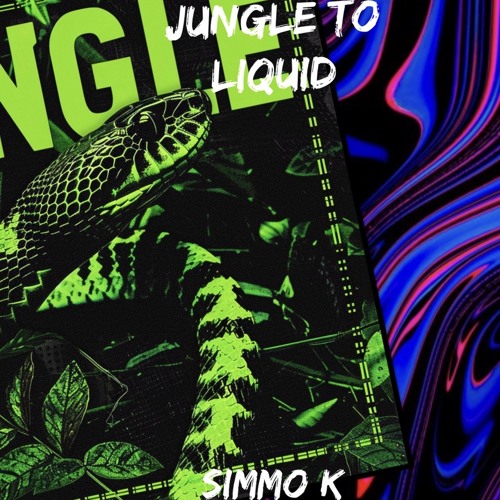 Jungle to liquid 10 minute mix