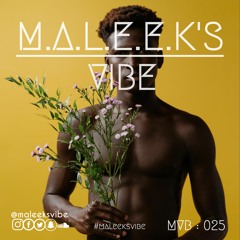 M.A.L.E.E.K's VIBE (MVB : 025)