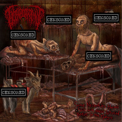 Infected Penis Coprophiliac Deep Anal Penetration